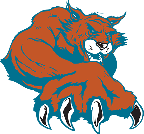 Puentes Bobcat